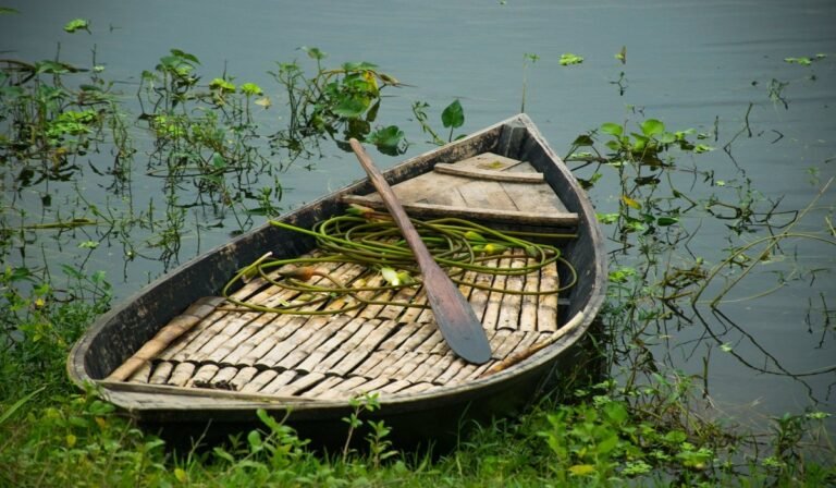 WhatsApp Image 2025-07-18 at 3.09.15 PM