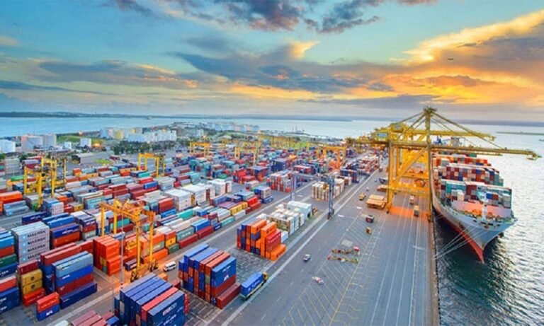 WhatsApp Image 2025-07-22 at 2.57.02 PM