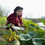 WhatsApp Image 2025-07-22 at 3.23.38 PM