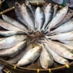 WhatsApp Image 2025-07-25 at 2.51.35 PM