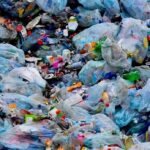 WhatsApp Image 2025-08-02 at 4.48.49 PM