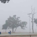 image - 2026-01-02T140713.981