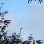 Screenshot 2026-02-28 113933