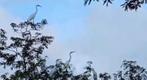 Screenshot 2026-02-28 113933