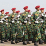 হাসিনা পালানোর পর আমরা উন্নয়নের কাজ শুরু করেছি : মির্জা ফখরুল