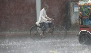 Screenshot 2026-03-20 124929