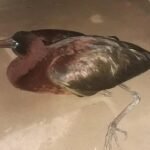 Screenshot 2026-03-23 125426