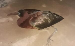 Screenshot 2026-03-23 125426