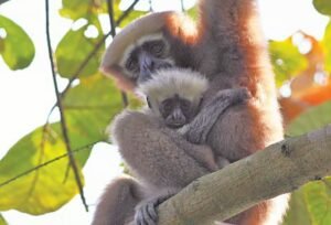 Screenshot 2026-03-30 140045