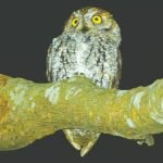 Screenshot 2026-04-10 132545