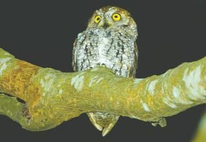 Screenshot 2026-04-10 132545