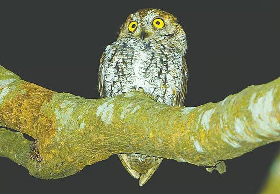 Screenshot 2026-04-10 132545