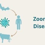 বিশ্ব স্বাস্থ্য দিবস: জলবায়ু পরিবর্তন ও ভাইরাসের চরিত্র বদল; বাড়ছে প্রাণিবাহিত রোগের ঝুঁকি