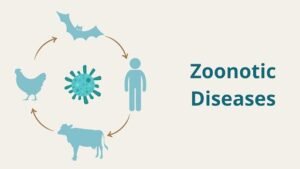 বিশ্ব স্বাস্থ্য দিবস: জলবায়ু পরিবর্তন ও ভাইরাসের চরিত্র বদল; বাড়ছে প্রাণিবাহিত রোগের ঝুঁকি