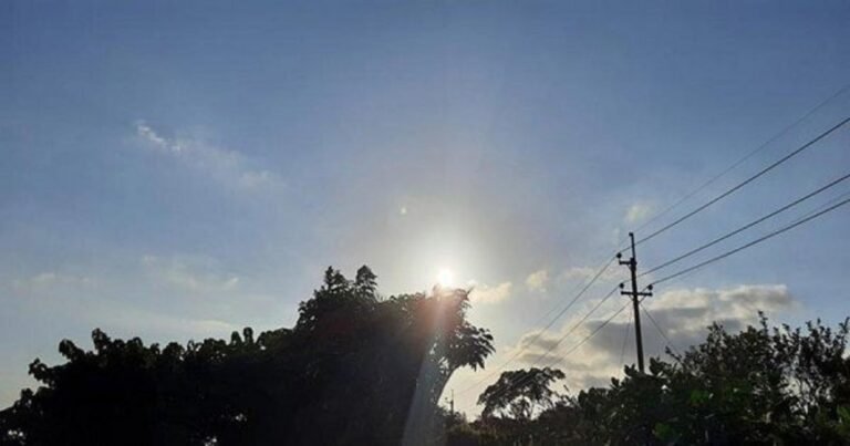 image (8)