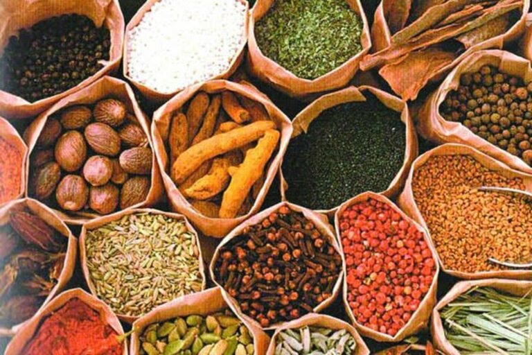 image (16)